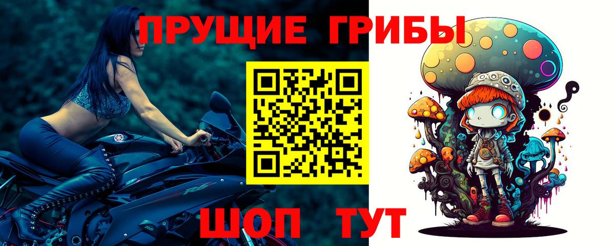 Южно-Сахалинск  Галлюциногенные грибы Psilocybe  Вход с VPN 